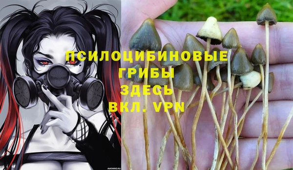 каннабис Алексин