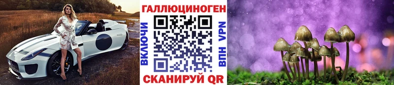 Галлюциногенные грибы Psilocybe Лакинск